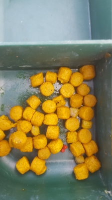 Preview: 4 mm Expander Pellets